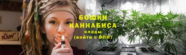 молекула духа Волосово